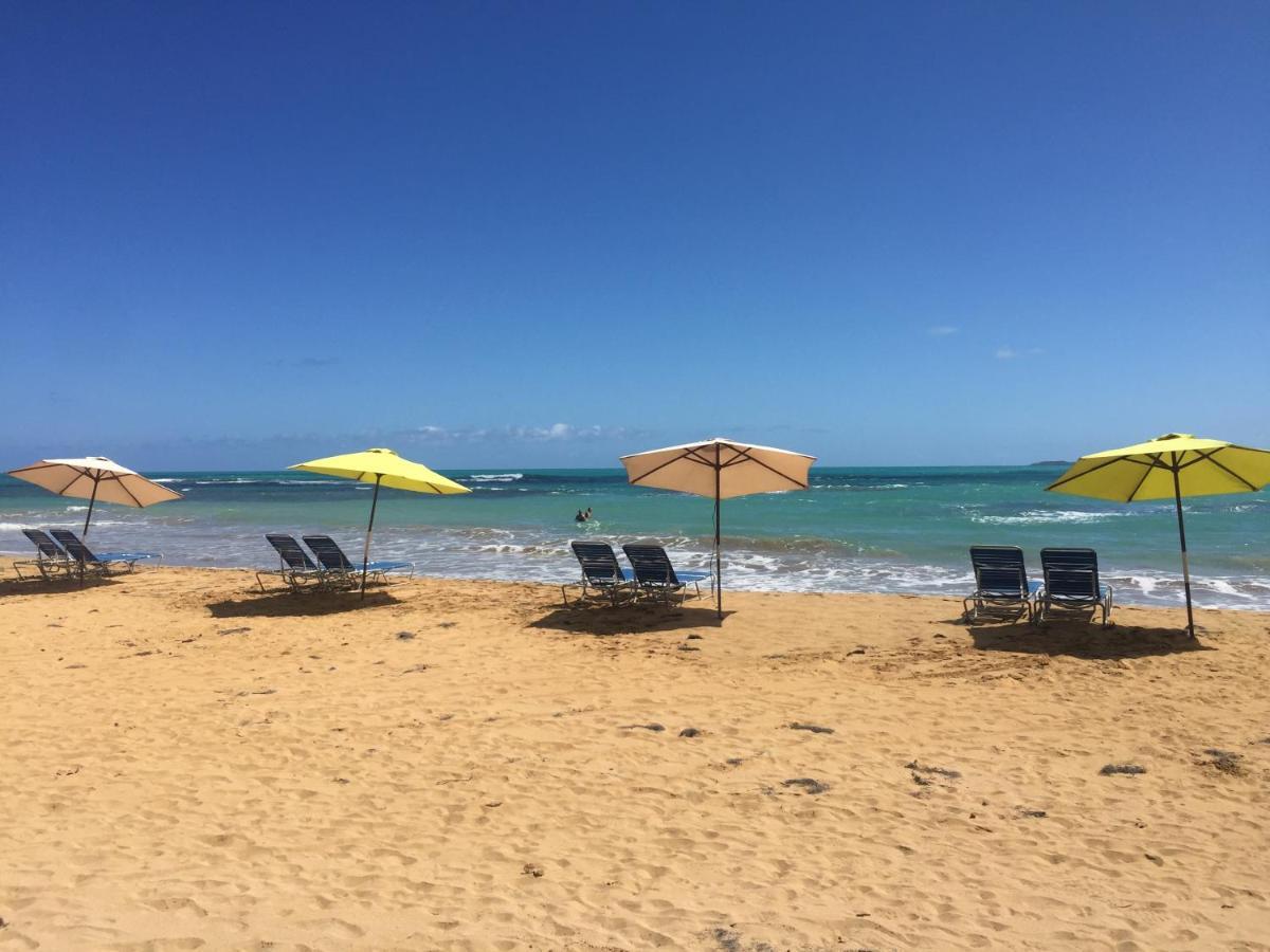 Appartement Blue Leaf By The Sea à Luquillo Extérieur photo