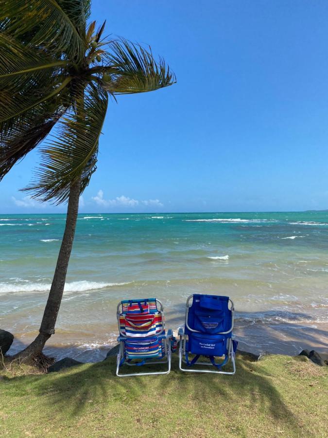 Appartement Blue Leaf By The Sea à Luquillo Extérieur photo